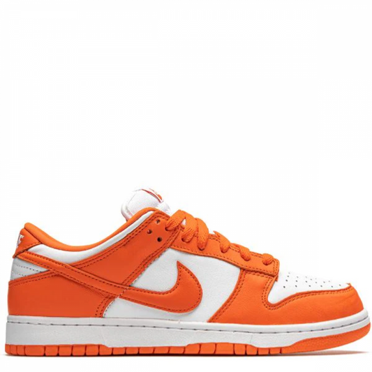 Nike Dunk Low Retro sneakers