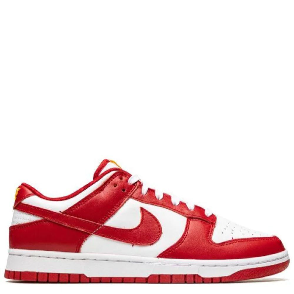 Nike Dunk Low Retro sneakers